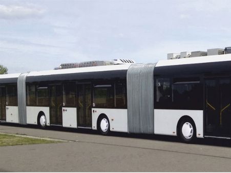 લોકોમાં જગાવ્યું આકર્ષણ