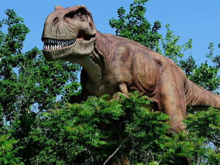 વિશેષ કેન્દ્ર સ્થાપિત કરવામાં આવશે