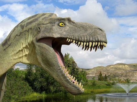 દુર્લભ જીવાશ્મોનું દસ્તાવેજીકરણ