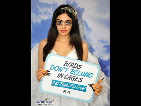 કેદ કરનાર પ્રોત્સાહનને પાત્ર નથી