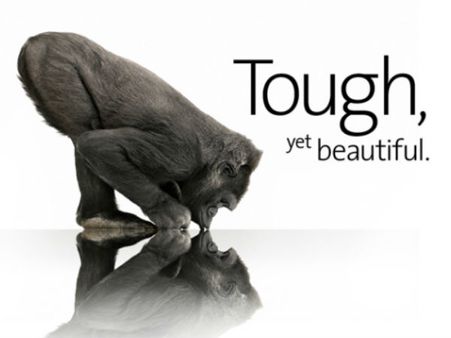 મજબૂત હોય છે આ ગોરિલા ગ્લાસ