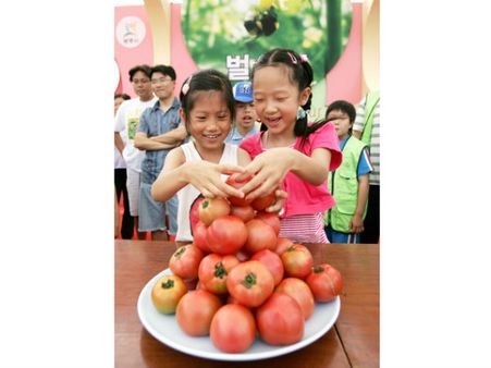 મોજ મસ્તીનો ફેસ્ટિવલ