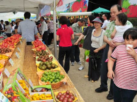 ટોમેટો પ્રદર્શન