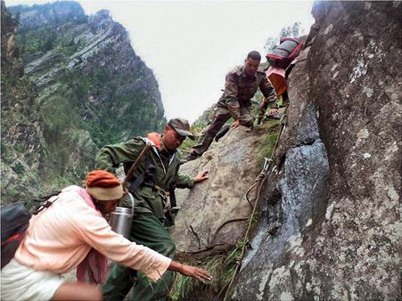 રિલિફ ઓપરેશન