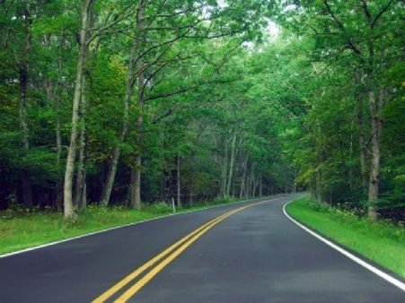 રસ્તાની વચ્ચે રહેવાનું કરો પસંદ