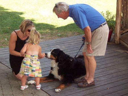 કૂતરાં પાળવાનું પસંદ