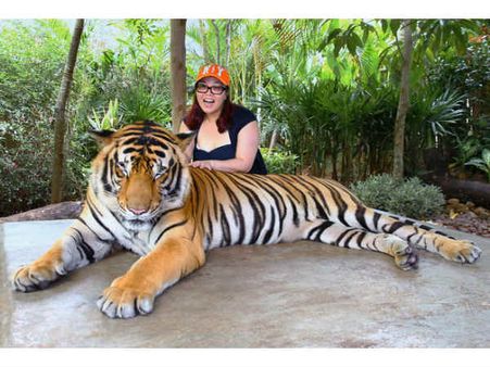 વાઘ પાળવાનું પસંદ