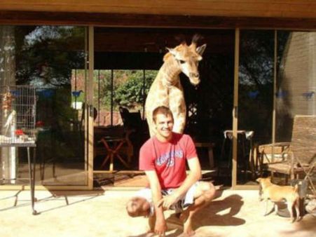 જિરાફ પાળવાનું પસંદ