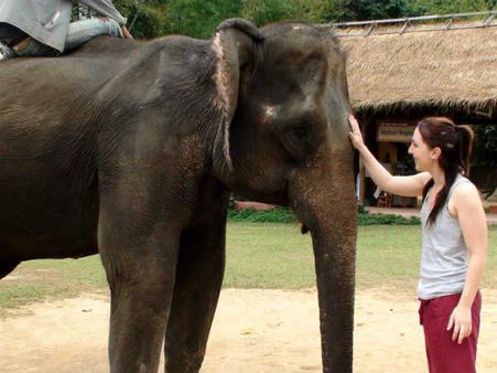 હાથી પાળવાનું પસંદ
