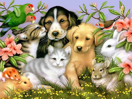 પસંદગીનો ખ્યાલ નથી