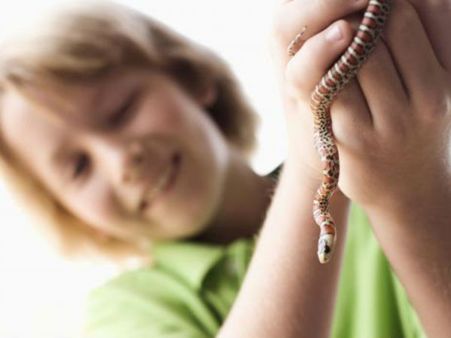 સાપ સૌથી બિહામણું પ્રાણી