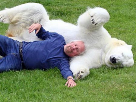 રીંછ સૌથી બિહામણું પ્રાણી