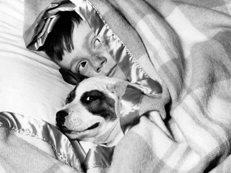 સર્વેક્ષણ વિશે