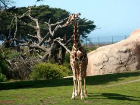 જ્યારે-જ્યારે જન્મે છે થાય છે ચર્ચા જ્યારે-જ્યારે જન્મે છે થાય છે ચર્ચા