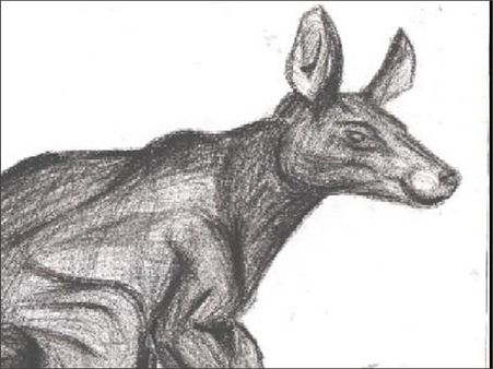 શિગ્બિન