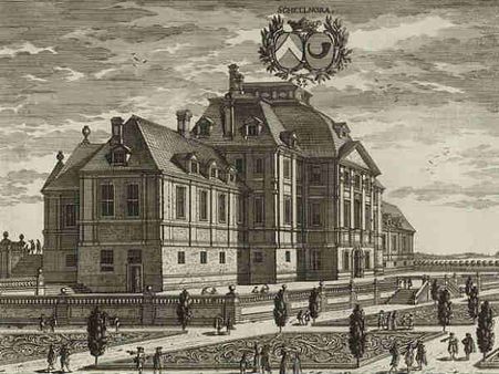 સ્કેલનોરા સુસિયા સ્કેલનોરા સુસિયા