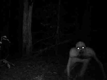 અજબ વિશ્વના ગજબ જીવઃ 10 ભયાવહ પ્રાણી-માનવ