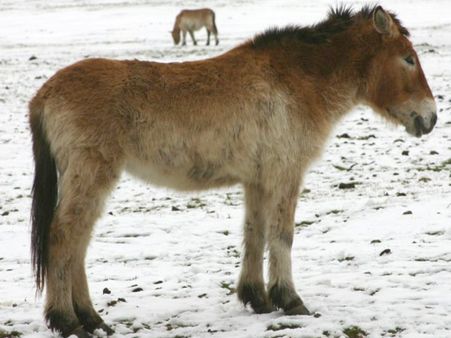 70 ટકા ભાગનું જ માનચિત્ર બનાવી શકાયુ