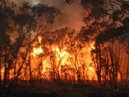 ઇન્ડોનેશિયા: જેલમાં આગ લગાવીને 200 કેદીઓ થઇ ગયા ફરાર