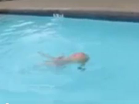 કોઇપણની મદદ વગર તરે છે