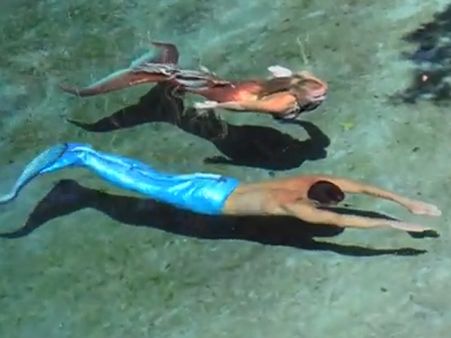 દરિયામાં પાંગર્યો પ્રેમ, જલપરીને મળ્યો સમુદ્રકુમાર