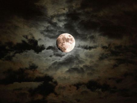 પૂજા વિધિ