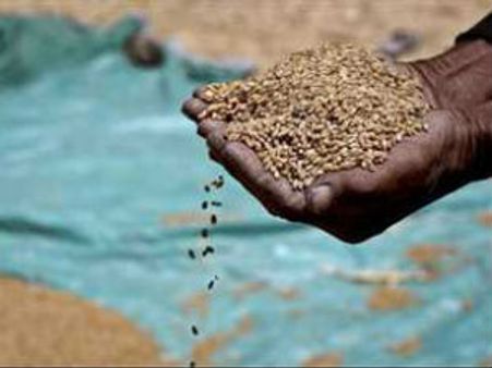 સસ્તા અનાજ માટે હજી પણ છ મહિનાની રાહ જોવી પડશે