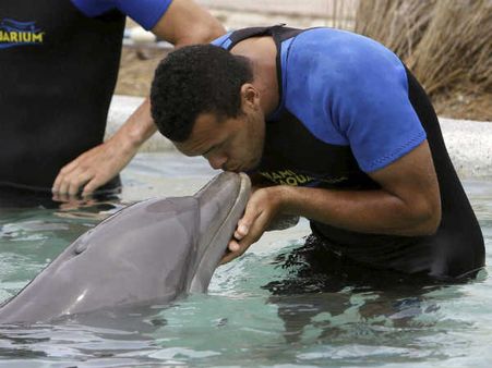 જો વિલફ્રીડ 