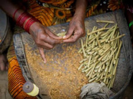 છેલ્લી સદીમાં તમાકુએ 10 કરોડ ભારતીયોનો જીવ લીધો