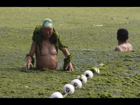 ચીનના આ સમુદ્રને ભરખી જશે આ લીલોત્રો રાક્ષસ