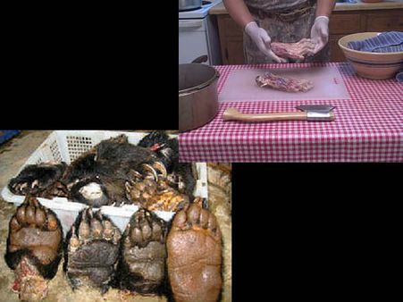 રીંછનો પંજો- ચીન, હોંગકોંગ અને તાઇવાન