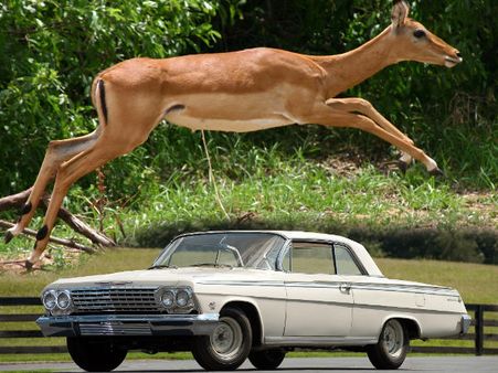 શેવરોલે ઇમ્પાલ કૂપે