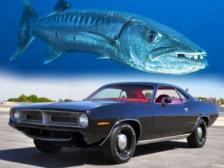 પ્લાઇમાઉથ બૈરાકૂડા 