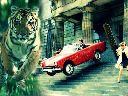 જાનવરોના નામ પર છે આ કાર્સના નામ