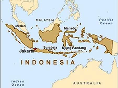 ઇન્ડોનેશિયામાં બોક્સિંગ મેચ દરમિયાન ભાગદોડ, 18ના મોત