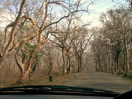 સાથ્યમાંગલમ અભ્યારણ્ય