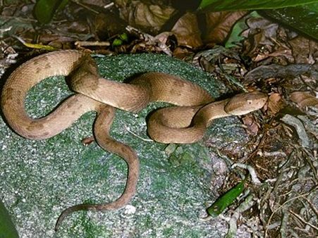 વિશ્વનું સૌથી ખતરનાક સ્થળ, અહી જતા છૂટી જશે પરસેવો