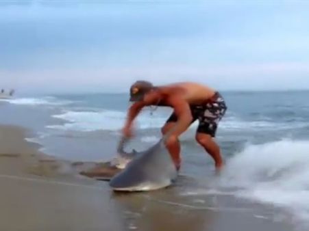 ખેલાયો જીવ સટોસટીનો ખેલઃ યુવકે પકડી 7 ફૂટ લાંબી શાર્ક