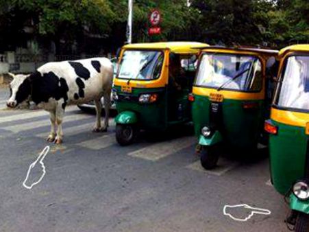 ટ્રાફિક સેન્સ