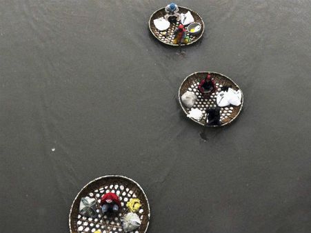 સ્મોલ કન્ટ્રી બોટ્સ