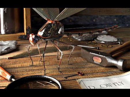 ઇન્સેક્ટ રોબોટ