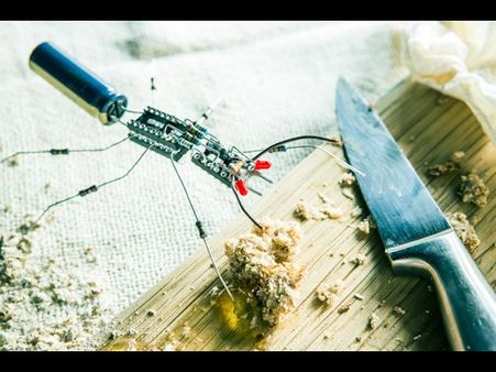  રોબો ફ્લાઇ