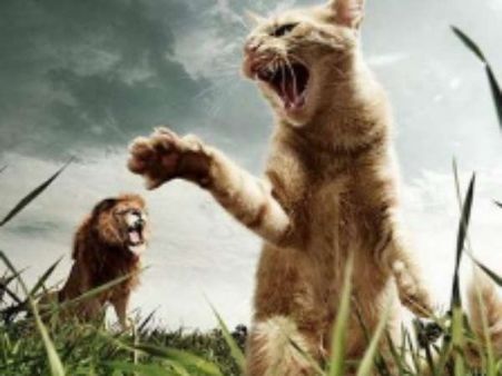 જુઓ ફોટોશોપની કમાલ.