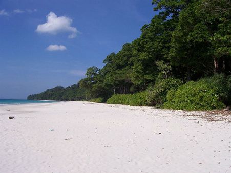 આંદમાન નિકોબાર