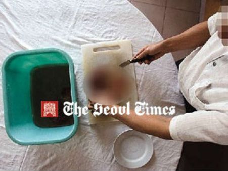 તાઇવાન મોકલી આપવામાં આવે છે ભ્રૂણ