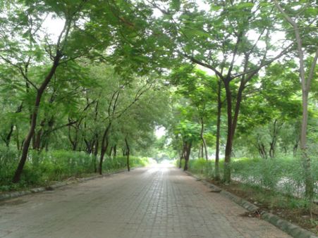 નંબર બનાવવાના પ્રયત્નો નંબર બનાવવાના પ્રયત્નો