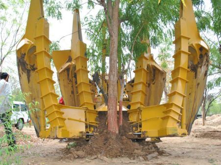 વૃક્ષ છેદન નહી પણ વૃક્ષ જતન વૃક્ષ છેદન નહી પણ વૃક્ષ જતન