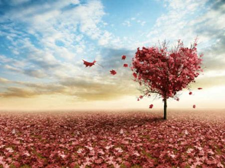 વિદેશોમાં આ પ્રયોગ અમલી