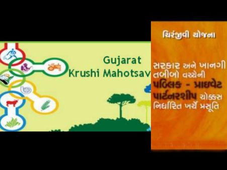 2005 - કૃષિ મહોત્સવ અને ચિરંજીવી યોજના