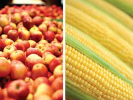 સરકાર સપ્ટેમ્બરથી DAમાં 10 ટકા વધારો કરી શકે